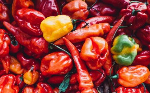 Instantes de felicidad mexican