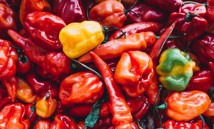 Instantes de felicidad mexican